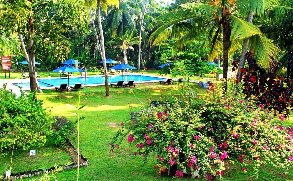 Oreeka - Katunayake Airport Transit Hotels Dış mekan fotoğraf