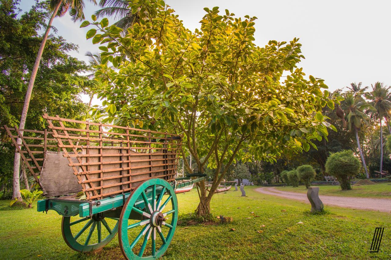 Oreeka - Katunayake Airport Transit Hotels Dış mekan fotoğraf
