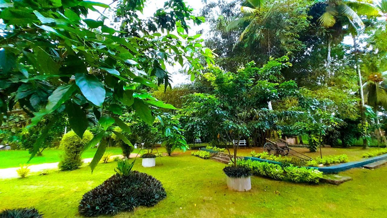 Oreeka - Katunayake Airport Transit Hotels Dış mekan fotoğraf