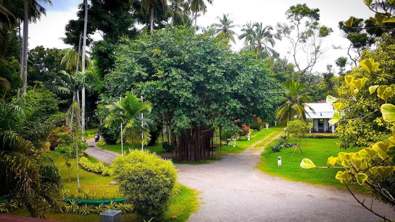 Oreeka - Katunayake Airport Transit Hotels Dış mekan fotoğraf